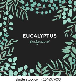 Eucalyptus Gunnii Hand Drawn Background Design. Herb Branches Frame With Place For Text. Evergreen Tree Leaves, Natural Foliage. Botanical Garden, Gum Tree Leafage, Exotic Plant Vector Illustration.