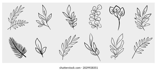 Eucalyptus hand drawn  leaves for wedding invitation or card, simple black on white isolate vector greenery