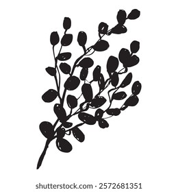 Eucalyptus hand drawn vector illustration, botanical art delicate leaves and branches of plant for use in stationery, packaging and themed design project