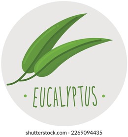 Eucalyptus icon clipart isklated vector illustration