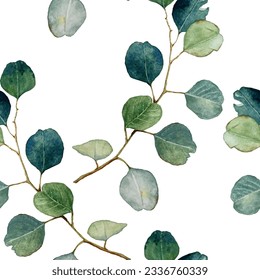 Eucalyptus also known as the gum tree leaves on branch seamless pattern watercolor illustration. Eucalyptus plant herbal alternative medical care leaves. Green medical herbs gum tree branch.