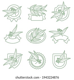 Eucalyptus label and icons set. Collection icon eucalyptus. Vector