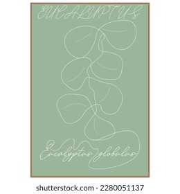 Eucalyptus leaf Branch.Abstract. Line Art Drawing. Leaves Line Drawing Illustration. Botanical Print Minimalist Style. Vector.