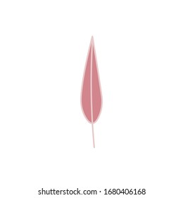 Eucalyptus leaf flat vector icon isolated on a white background.