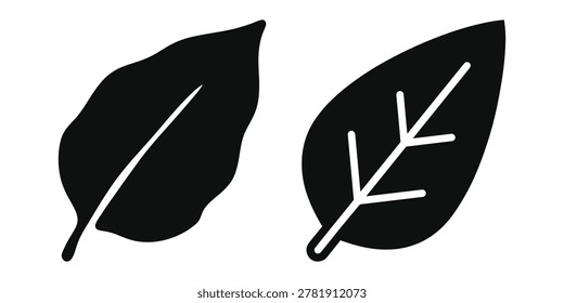 Eucalyptus leaf icon silhouette vector isolated illustration design
