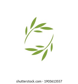 Eucalyptus leaf logo vector design