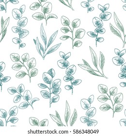 Eucalyptus leaf seamless pattern. Vintage engraved botanical branches. Vector illustration