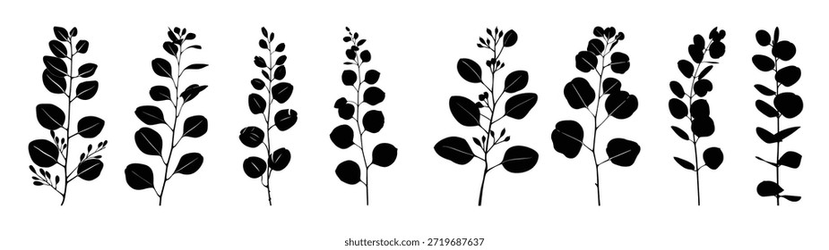 folha de eucalipto silhueta clipart bundle 