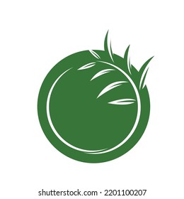 eucalyptus leaf vector element design template web