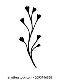 Ilustración vectorial de la hoja de eucalipto. Rama dibujada a mano floral, elemento lineal. Las hojas elegantes de Boho están aisladas en el fondo blanco. Silueta foliage eucalipto, arte de la línea Doodle Ivy