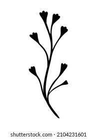 Ilustración vectorial de la hoja de eucalipto. Rama dibujada a mano floral, elemento lineal. Las hojas elegantes de Boho están aisladas en el fondo blanco. Silueta foliage eucalipto, arte de la línea Doodle Ivy