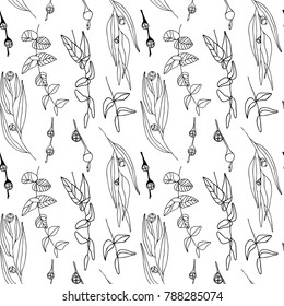 Eucalyptus leaves and berries vector seamless pattern. Hand drawn twigs and berries, realistic botanical background.