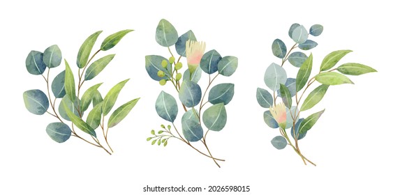 Eucalyptus leaves bouquet in a watercolor style. Floral and leaves bouquets arrangements.