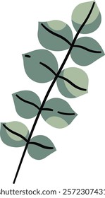 Eucalyptus Leaves Branch Vector Illustration