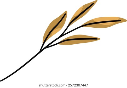 Eucalyptus Leaves Branch Vector Illustration