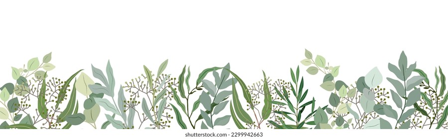 Eucalyptus leaves and branches border vector art.