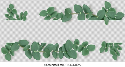 Eucalyptus leaves and branches frame, aromatic herb. Evergreen plant border, condiment or spice for essential oil and medicine isolated on background. Natural green foliage decor realistic 3d vector