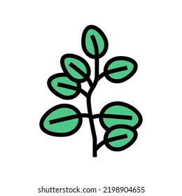 eucalyptus leaves color icon vector. eucalyptus leaves sign. isolated symbol illustration
