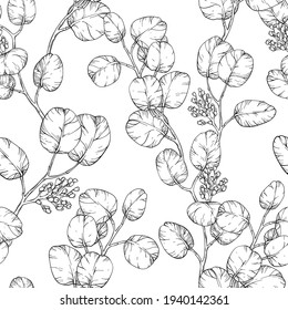 Eucalyptus leaves desig. Seamless pattern with eucalyptus Foliage. Black and white