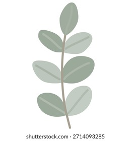 Eucalyptus leaves in flat illustration for winter botanical design. Ideal for modern winter decor, minimalist branding, invitations, and natural themed projects.