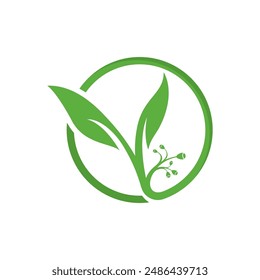 Eucalyptus leaves floral logo vector template design 
