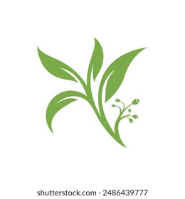 Eucalyptus leaves floral logo vector template design 