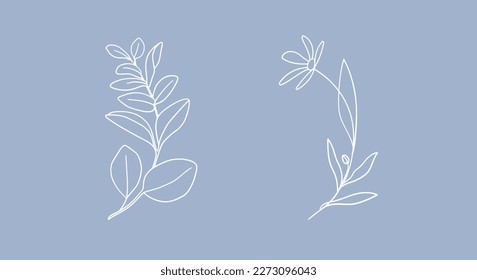 Eucalyptus Leaves and flower on blue background. Floral line art. Outline vector flowers. Wedding elegant continuous line drawing.