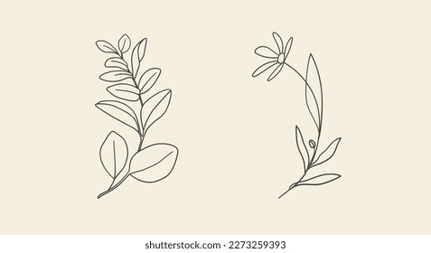 Eucalyptus Leaves and flower on yellow background. Floral line art. Outline vector flowers. Wedding elegant continuous line drawing.