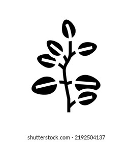 el eucalipto deja un vector de icono de glifo. el eucalipto deja la señal. ilustración de símbolo aislado