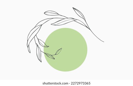 Eucalyptus Leaves with green circle shape on white background. Floral line art. Outline vector flowers. Wedding elegant continuous line drawing.