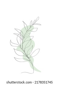 Eucalyptus leaves . Line Drawing Palm Leaves. Minimalist