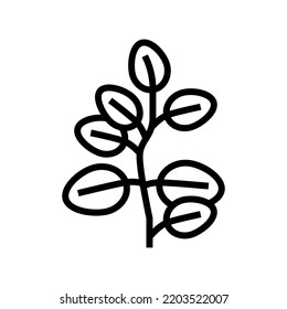 eucalyptus leaves line icon vector. eucalyptus leaves sign. isolated contour symbol black illustration