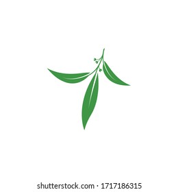 Eucalyptus leaves logo vector template design illustration