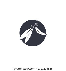 Eucalyptus leaves logo vector template design illustration
