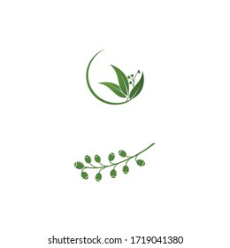 Eucalyptus leaves logo vector template design illustration