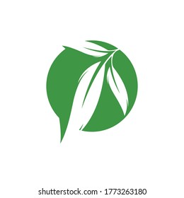 Eucalyptus leaves logo vector template design illustration