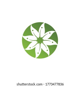 Eucalyptus leaves logo vector template design illustration