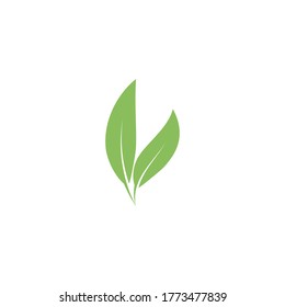Eucalyptus leaves logo vector template design illustration