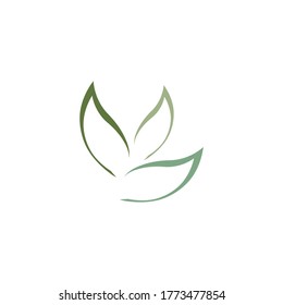 Eucalyptus leaves logo vector template design illustration