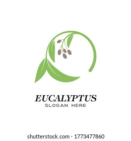 Eucalyptus leaves logo vector template design illustration