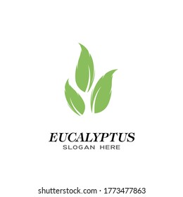 Eucalyptus leaves logo vector template design illustration