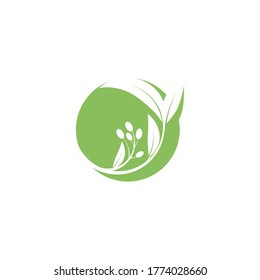 Eucalyptus leaves logo vector template design illustration