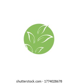 Eucalyptus leaves logo vector template design illustration