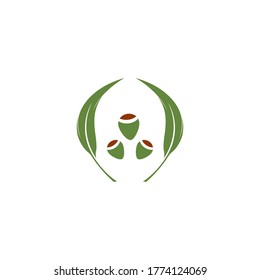 Eucalyptus lässt Logo-Vektorgrafik-Design