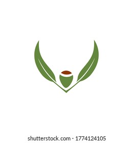 Eucalyptus leaves logo vector template design illustration