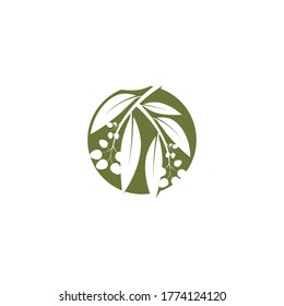 Eucalyptus leaves logo vector template design illustration