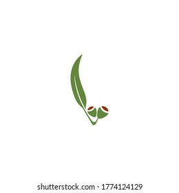 Eucalyptus leaves logo vector template design illustration