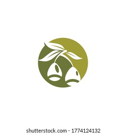 Eucalyptus leaves logo vector template design illustration