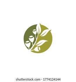 Eucalyptus leaves logo vector template design illustration