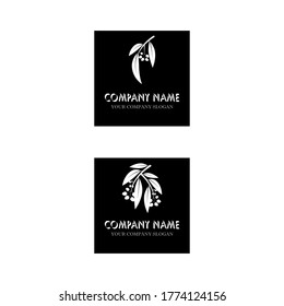 Eucalyptus leaves logo vector template design illustration